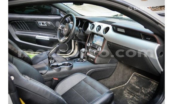 Tenga Imported Ford Mustang Chena Mota in Import - Dubai in Cabo Delgado Tenga Imported Ford Mustang Chena Mota in Import - Dubai in Cabo Delgado