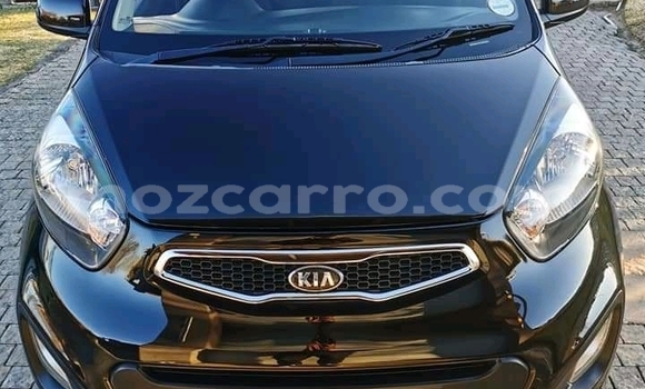 Tenga Tsaru Kia Picanto Nhema Mota in Chemba in Sofala