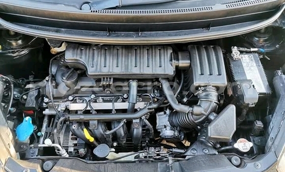 Buy Used Kia Picanto Black Car in Chemba in Sofala Buy Used Kia Picanto Black Car in Chemba in Sofala