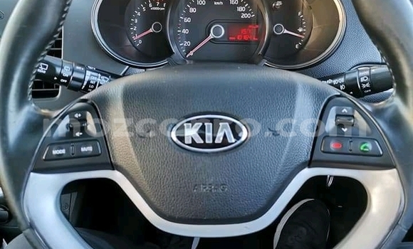 Buy Used Kia Picanto Black Car in Chemba in Sofala Buy Used Kia Picanto Black Car in Chemba in Sofala