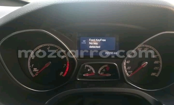 Tenga Tsaru Ford Focus Sirivha Mota in Chemba in Sofala Tenga Tsaru Ford Focus Sirivha Mota in Chemba in Sofala