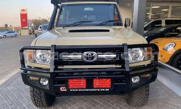 Nunua Ilio tumika Toyota Land Cruiser Brown Gari ndani ya Itabadilika nchini Tete