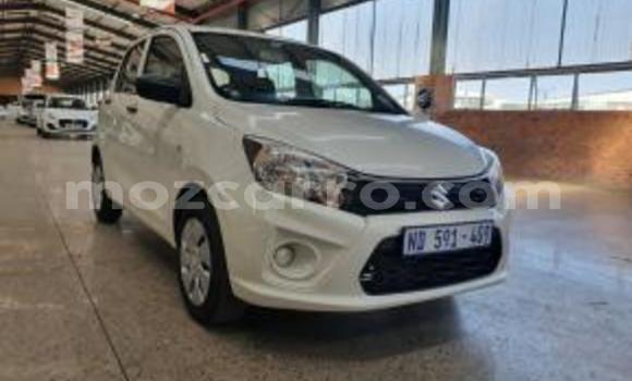 Tenga Imported Suzuki Celerio Chena Mota in Zumbo in Tete Tenga Imported Suzuki Celerio Chena Mota in Zumbo in Tete