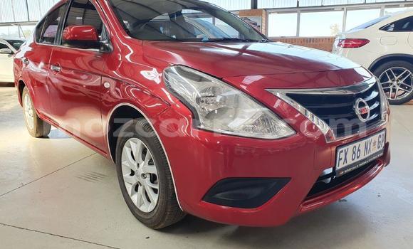 Tenga Imported Nissan Almera Tsvuku Mota in Zumbo in Tete Tenga Imported Nissan Almera Tsvuku Mota in Zumbo in Tete