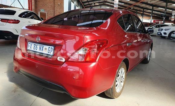 Tenga Imported Nissan Almera Tsvuku Mota in Zumbo in Tete Tenga Imported Nissan Almera Tsvuku Mota in Zumbo in Tete