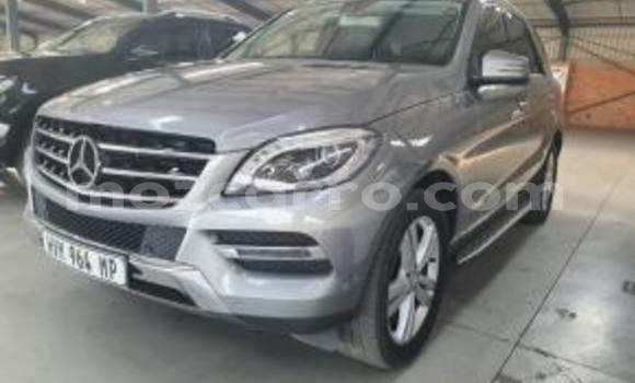 Comprar Importar Mercedes‒Benz ML-Class Prata Carro em Zumbo em Tete