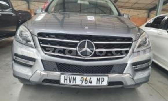 Tenga Imported Mercedes‒Benz ML-Class Sirivha Mota in Zumbo in Tete Tenga Imported Mercedes‒Benz ML-Class Sirivha Mota in Zumbo in Tete