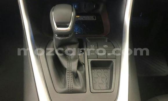 Tenga Tsaru Toyota RAV4 Chena Mota in Mocambique in Nampula Tenga Tsaru Toyota RAV4 Chena Mota in Mocambique in Nampula