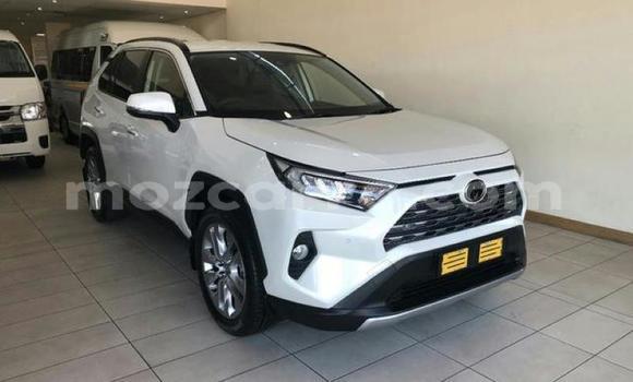 Tenga Tsaru Toyota RAV4 Chena Mota in Mocambique in Nampula Tenga Tsaru Toyota RAV4 Chena Mota in Mocambique in Nampula