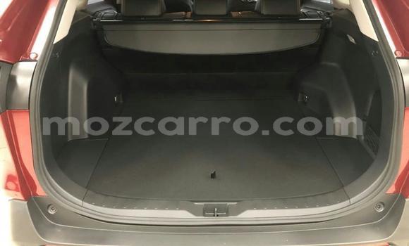 Tenga Tsaru Toyota RAV4 Zvimwe Mota in Mocambique in Nampula Tenga Tsaru Toyota RAV4 Zvimwe Mota in Mocambique in Nampula