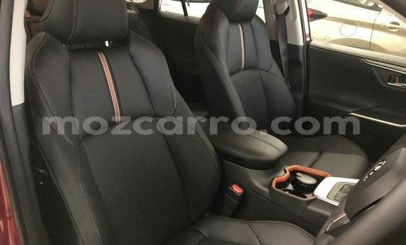 Tenga Tsaru Toyota RAV4 Zvimwe Mota in Mocambique in Nampula Tenga Tsaru Toyota RAV4 Zvimwe Mota in Mocambique in Nampula