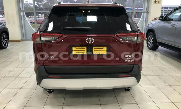 Tenga Tsaru Toyota RAV4 Zvimwe Mota in Mocambique in Nampula Tenga Tsaru Toyota RAV4 Zvimwe Mota in Mocambique in Nampula