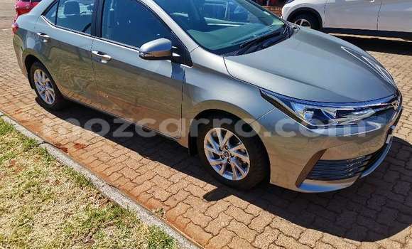 Comprar Usado Toyota Corolla Prata Carro em Ancuabe em Cabo Delgado Comprar Usado Toyota Corolla Prata Carro em Ancuabe em Cabo Delgado