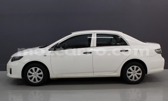Buy Used Toyota Corolla White Car in Maputo in Maputo Buy Used Toyota Corolla White Car in Maputo in Maputo