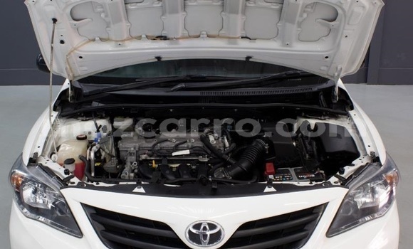 Buy Used Toyota Corolla White Car in Maputo in Maputo Buy Used Toyota Corolla White Car in Maputo in Maputo