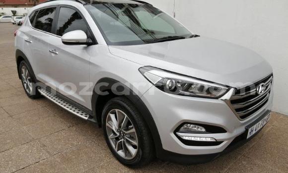 Tenga Imported Hyundai Tucson Sirivha Mota in Zumbo in Tete Tenga Imported Hyundai Tucson Sirivha Mota in Zumbo in Tete