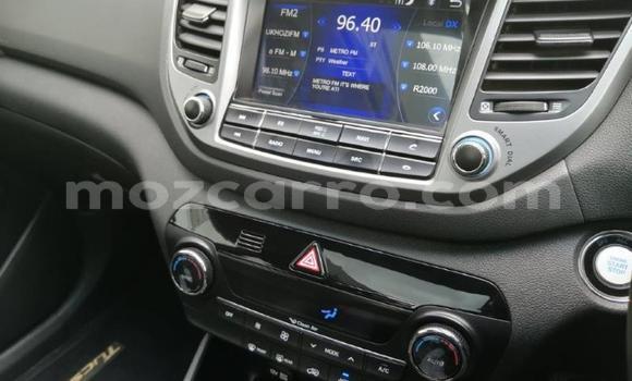 Tenga Imported Hyundai Tucson Sirivha Mota in Zumbo in Tete Tenga Imported Hyundai Tucson Sirivha Mota in Zumbo in Tete