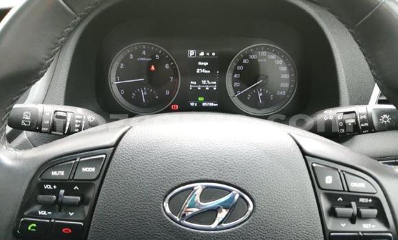 Tenga Imported Hyundai Tucson Sirivha Mota in Zumbo in Tete Tenga Imported Hyundai Tucson Sirivha Mota in Zumbo in Tete