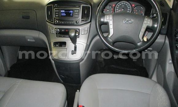 Tenga Imported Hyundai H1 Sirivha Mota in Zumbo in Tete Tenga Imported Hyundai H1 Sirivha Mota in Zumbo in Tete