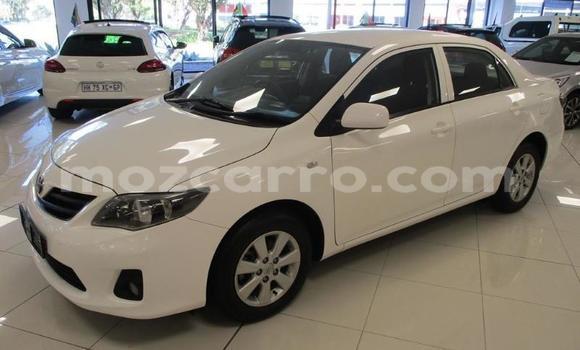 Buy Used Toyota Corolla Other Car in Beira in Sofala Buy Used Toyota Corolla Other Car in Beira in Sofala