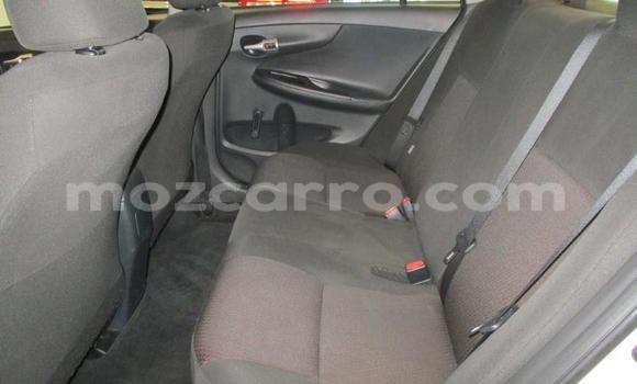 Buy Used Toyota Corolla Other Car in Beira in Sofala Buy Used Toyota Corolla Other Car in Beira in Sofala