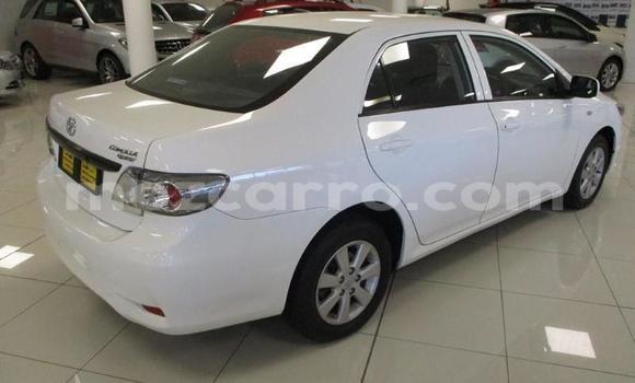 Buy Used Toyota Corolla Other Car in Beira in Sofala Buy Used Toyota Corolla Other Car in Beira in Sofala