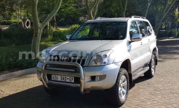 Cars for sale in mozambique - mozcarro