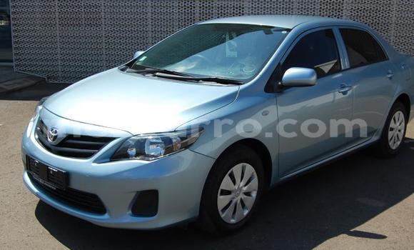 Buy Used Toyota Corolla Blue Car in Beira in Sofala Buy Used Toyota Corolla Blue Car in Beira in Sofala