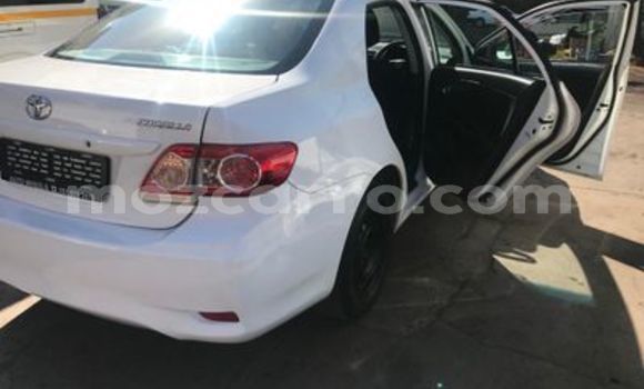Buy Used Toyota Corolla White Car in Maputo in Maputo Buy Used Toyota Corolla White Car in Maputo in Maputo