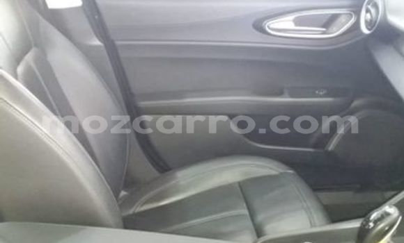 Tenga Tsaru Alfa Romeo Giulia Chena Mota in Maputo in Maputo Tenga Tsaru Alfa Romeo Giulia Chena Mota in Maputo in Maputo