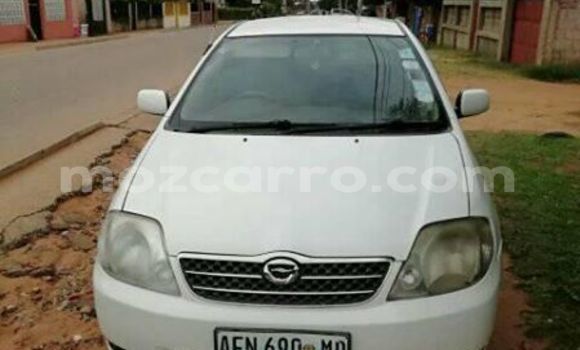 Tenga Tsaru Toyota Corolla Chena Mota in Maputo in Maputo Tenga Tsaru Toyota Corolla Chena Mota in Maputo in Maputo