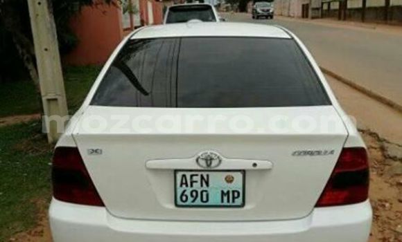 Tenga Tsaru Toyota Corolla Chena Mota in Maputo in Maputo Tenga Tsaru Toyota Corolla Chena Mota in Maputo in Maputo