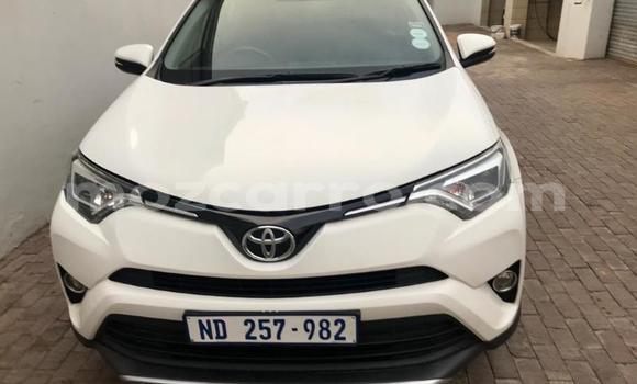 Buy Used Toyota RAV4 White Car in Balama in Cabo Delgado