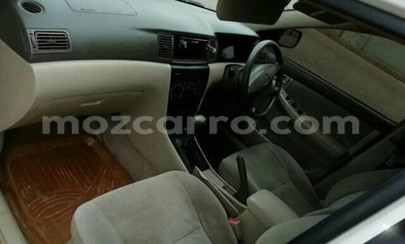 Tenga Tsaru Toyota Corolla Chena Mota in Maputo in Maputo Tenga Tsaru Toyota Corolla Chena Mota in Maputo in Maputo
