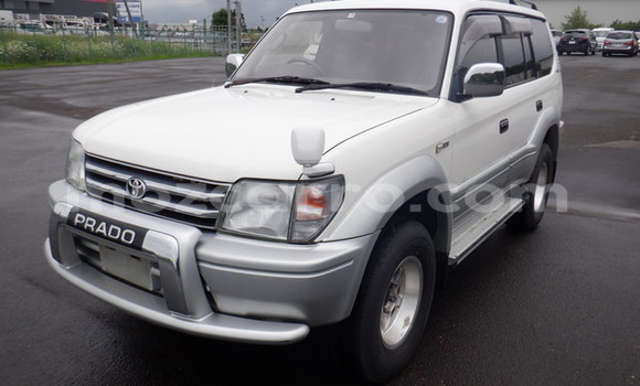 Comprar Usado Toyota Land Cruiser Prado Branco Carro em Maputo em Maputo