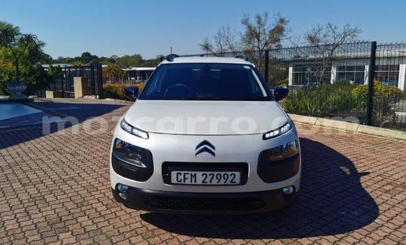 Tenga Tsaru Citroen C4 Aircross Chena Mota in Balama in Cabo Delgado Tenga Tsaru Citroen C4 Aircross Chena Mota in Balama in Cabo Delgado