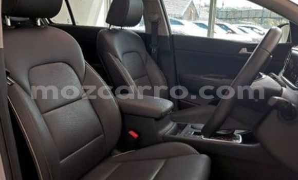 Buy Used Kia Sportage Silver Car in Chokwe in Gaza Buy Used Kia Sportage Silver Car in Chokwe in Gaza