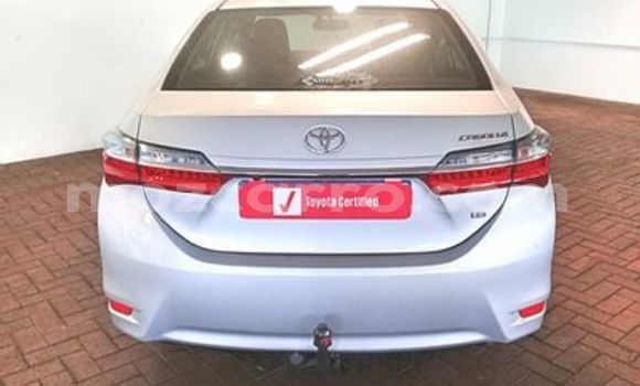 Buy Used Toyota Corolla White Car in Maputo in Maputo Buy Used Toyota Corolla White Car in Maputo in Maputo