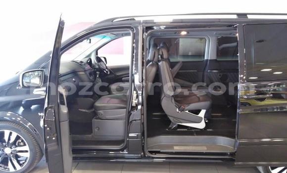 Tenga Tsaru Mercedes Viano Nhema Mota in Zumbo in Tete Tenga Tsaru Mercedes Viano Nhema Mota in Zumbo in Tete