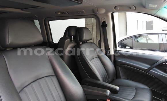 Tenga Tsaru Mercedes Viano Nhema Mota in Zumbo in Tete Tenga Tsaru Mercedes Viano Nhema Mota in Zumbo in Tete