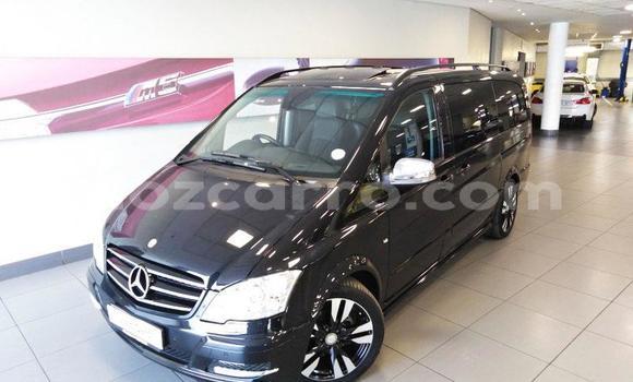 Tenga Tsaru Mercedes Viano Nhema Mota in Zumbo in Tete Tenga Tsaru Mercedes Viano Nhema Mota in Zumbo in Tete