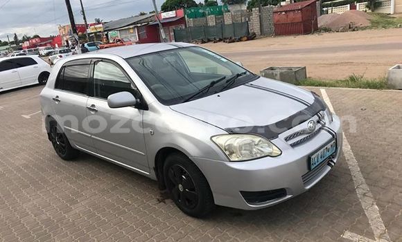 Comprar Usado Toyota Allex Prata Carro em Maputo em Maputo Comprar Usado Toyota Allex Prata Carro em Maputo em Maputo