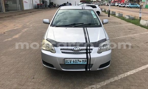 Comprar Usado Toyota Allex Prata Carro em Maputo em Maputo Comprar Usado Toyota Allex Prata Carro em Maputo em Maputo