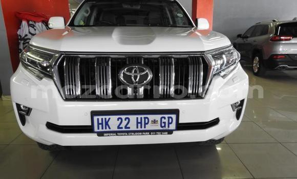 Tenga Tsaru Toyota Land Cruiser Chena Mota in Zumbo in Tete Tenga Tsaru Toyota Land Cruiser Chena Mota in Zumbo in Tete