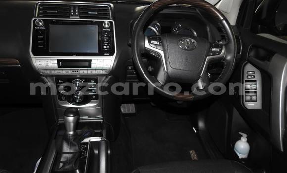 Tenga Tsaru Toyota Land Cruiser Chena Mota in Zumbo in Tete Tenga Tsaru Toyota Land Cruiser Chena Mota in Zumbo in Tete