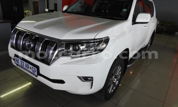 Tenga Tsaru Toyota Land Cruiser Chena Mota in Zumbo in Tete Tenga Tsaru Toyota Land Cruiser Chena Mota in Zumbo in Tete