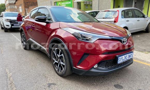 Comprar Usado Toyota C-HR Vermelho Carro em Mutarara em Tete