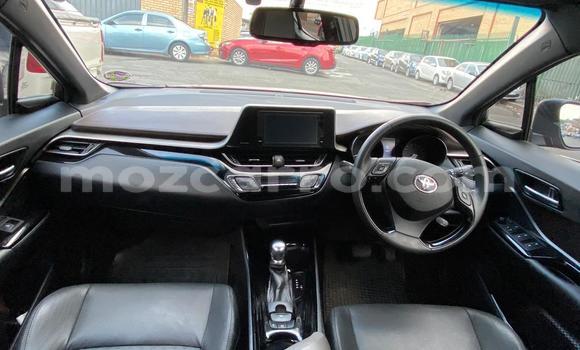 Tenga Tsaru Toyota C-HR Tsvuku Mota in Achachinja in Tete Tenga Tsaru Toyota C-HR Tsvuku Mota in Achachinja in Tete