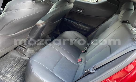 Tenga Tsaru Toyota C-HR Tsvuku Mota in Achachinja in Tete Tenga Tsaru Toyota C-HR Tsvuku Mota in Achachinja in Tete