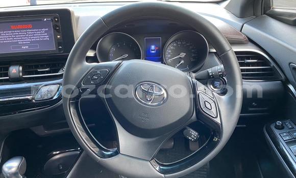 Tenga Tsaru Toyota C-HR Tsvuku Mota in Achachinja in Tete Tenga Tsaru Toyota C-HR Tsvuku Mota in Achachinja in Tete